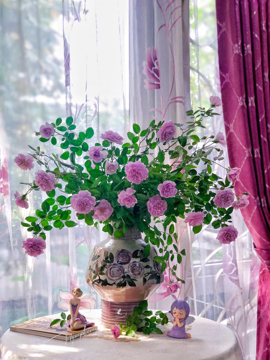 Tử vi ngày 8/8/2022 của 12 cung hoàng đạo